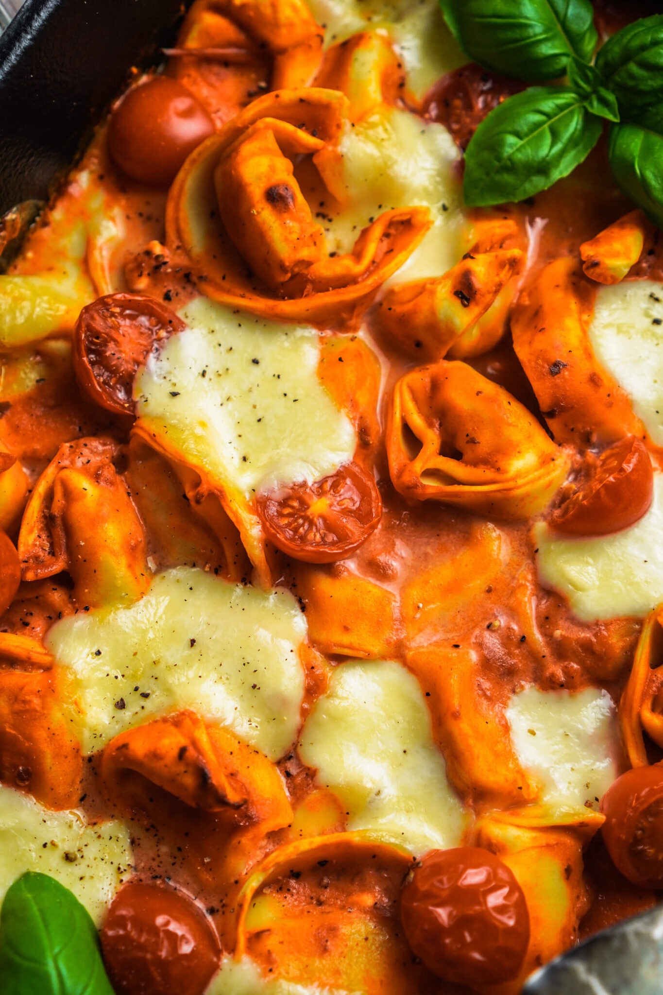 Tortellini im Tomate Mozzarella Style mit frischem Basilikum - FeedMeDaily